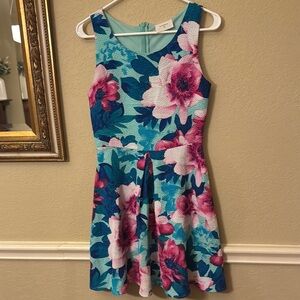 H&M Floral Dress - Blue and Pink